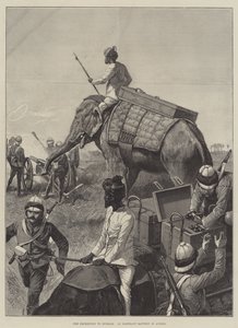 Expedition to Burmah, elefanttipatteri toiminnassa